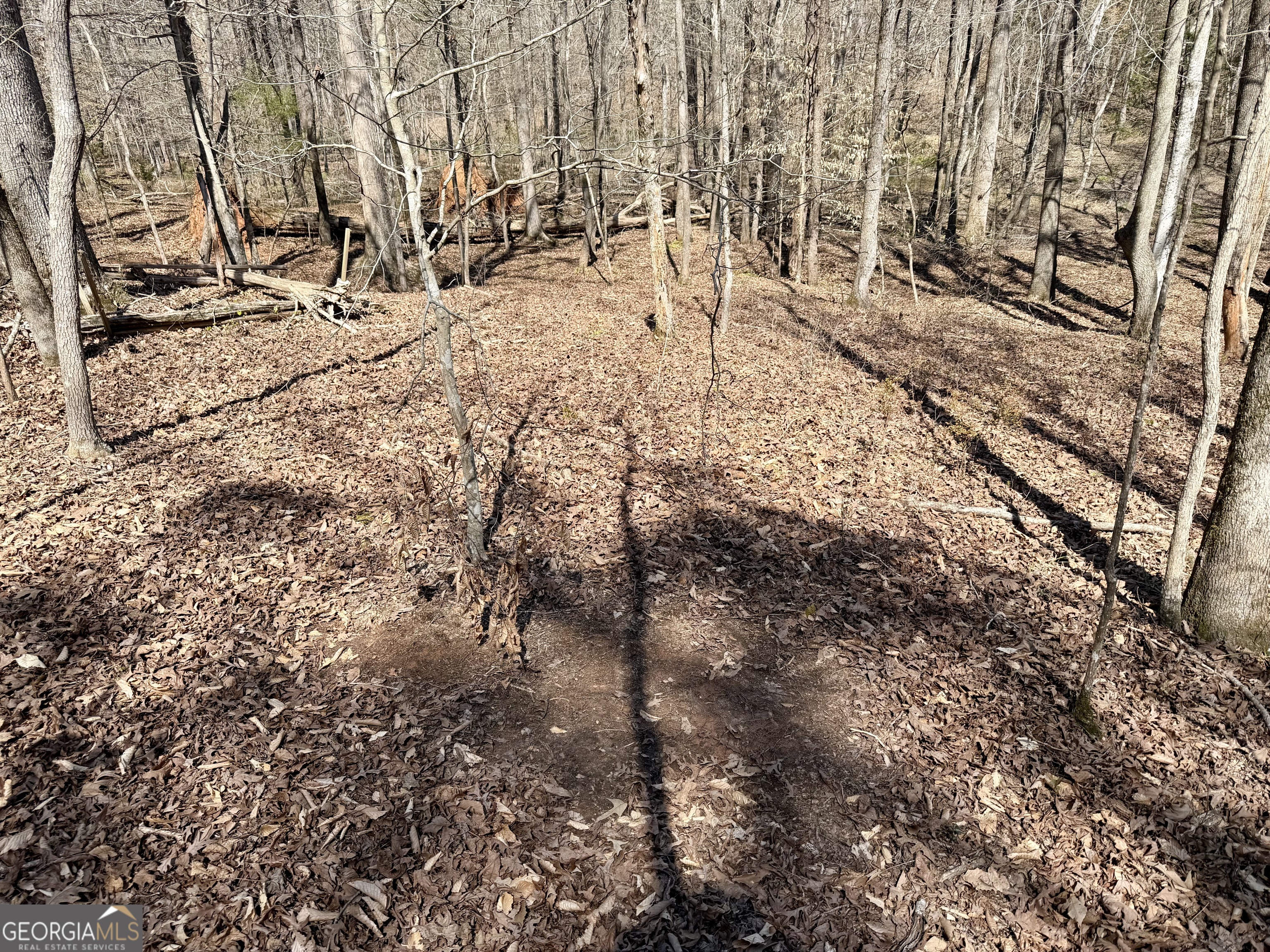 0 Highway 28 Property Photo 41