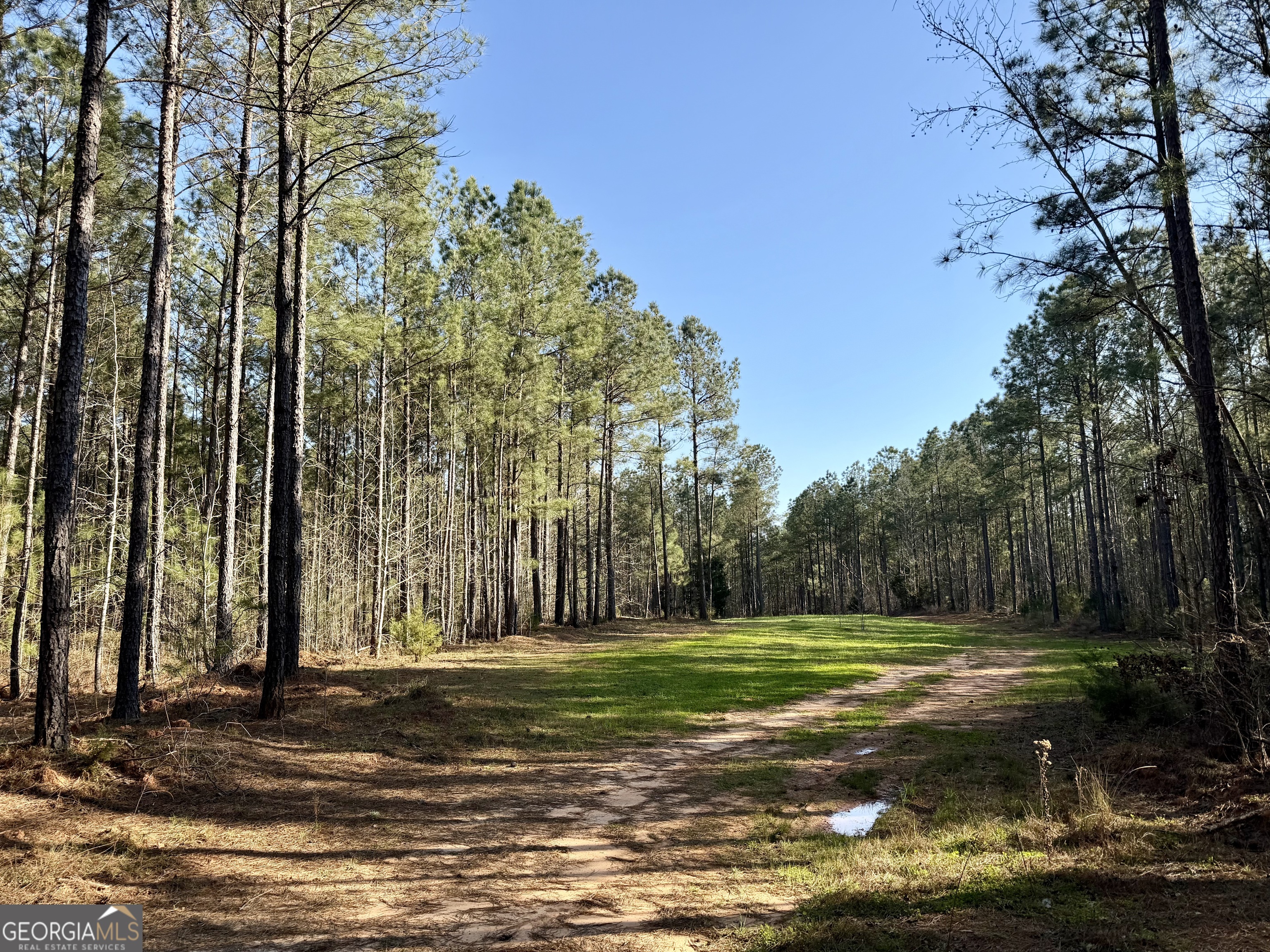 0 Highway 28 Property Photo 43