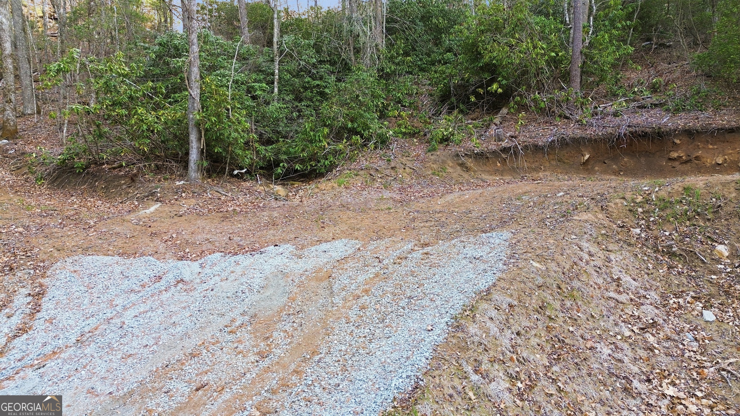 0 Franklin Road Property Photo 6