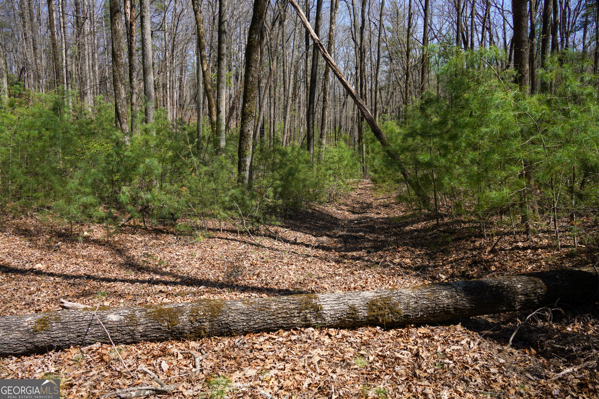 0 Hale Ridge Road Property Photo 5