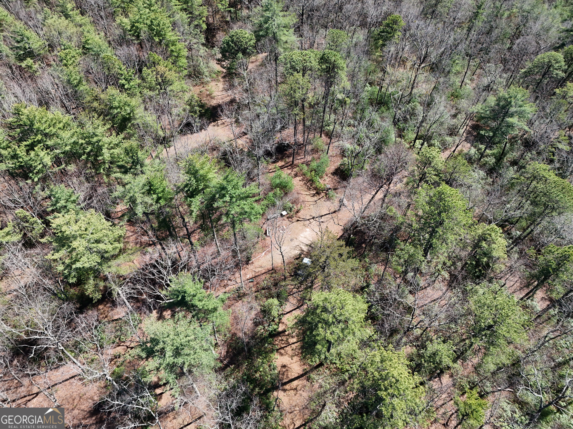 0 Hale Ridge Road Property Photo 8