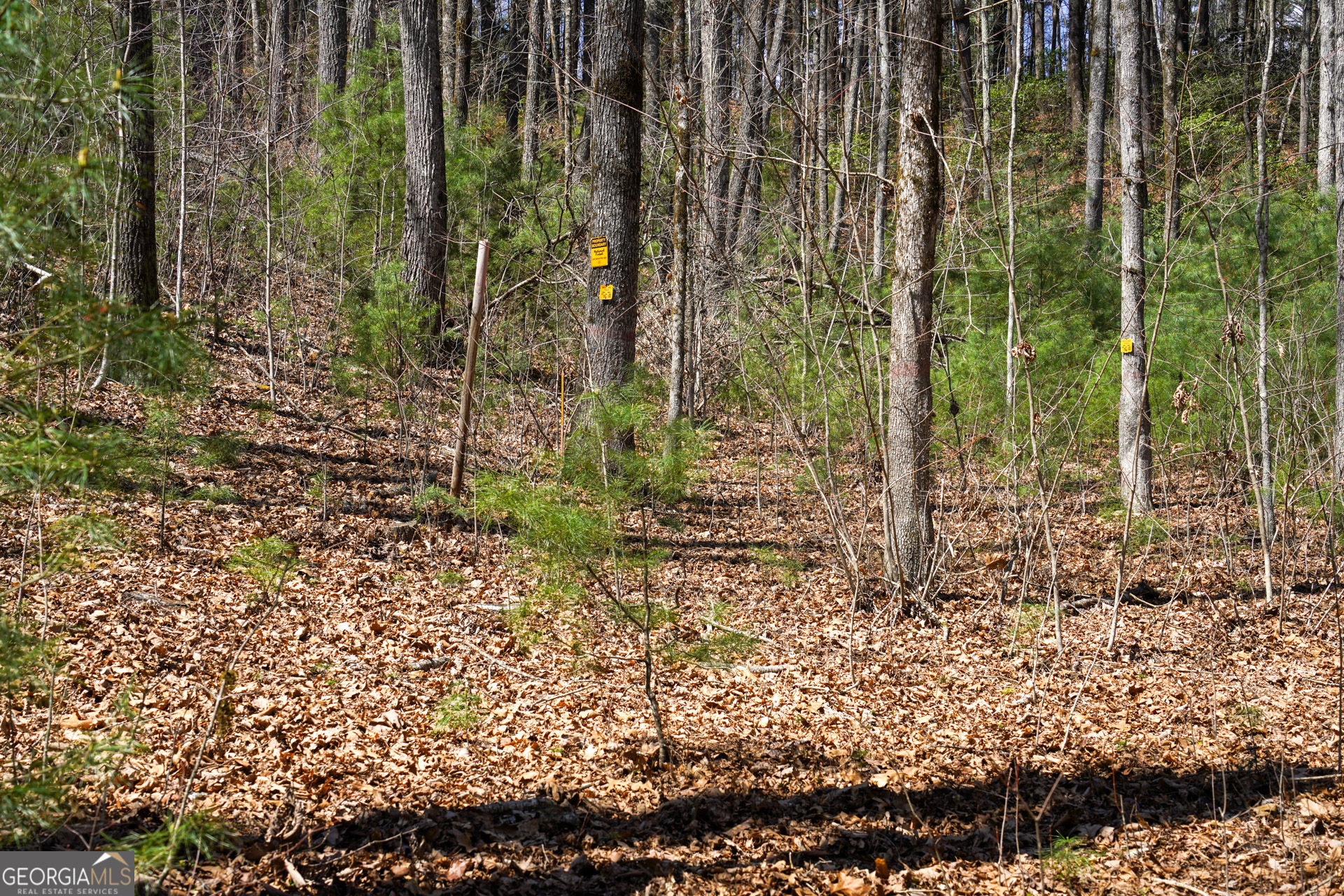 0 Hale Ridge Road Property Photo 17