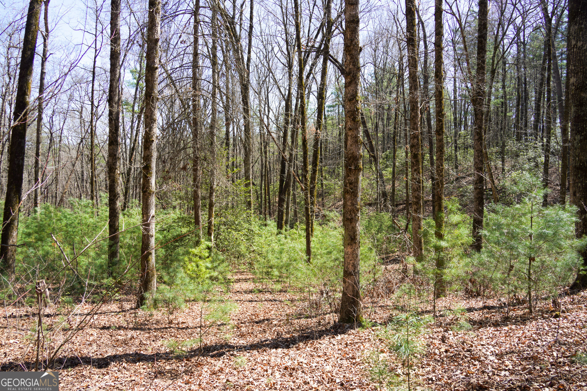 0 Hale Ridge Road Property Photo 18