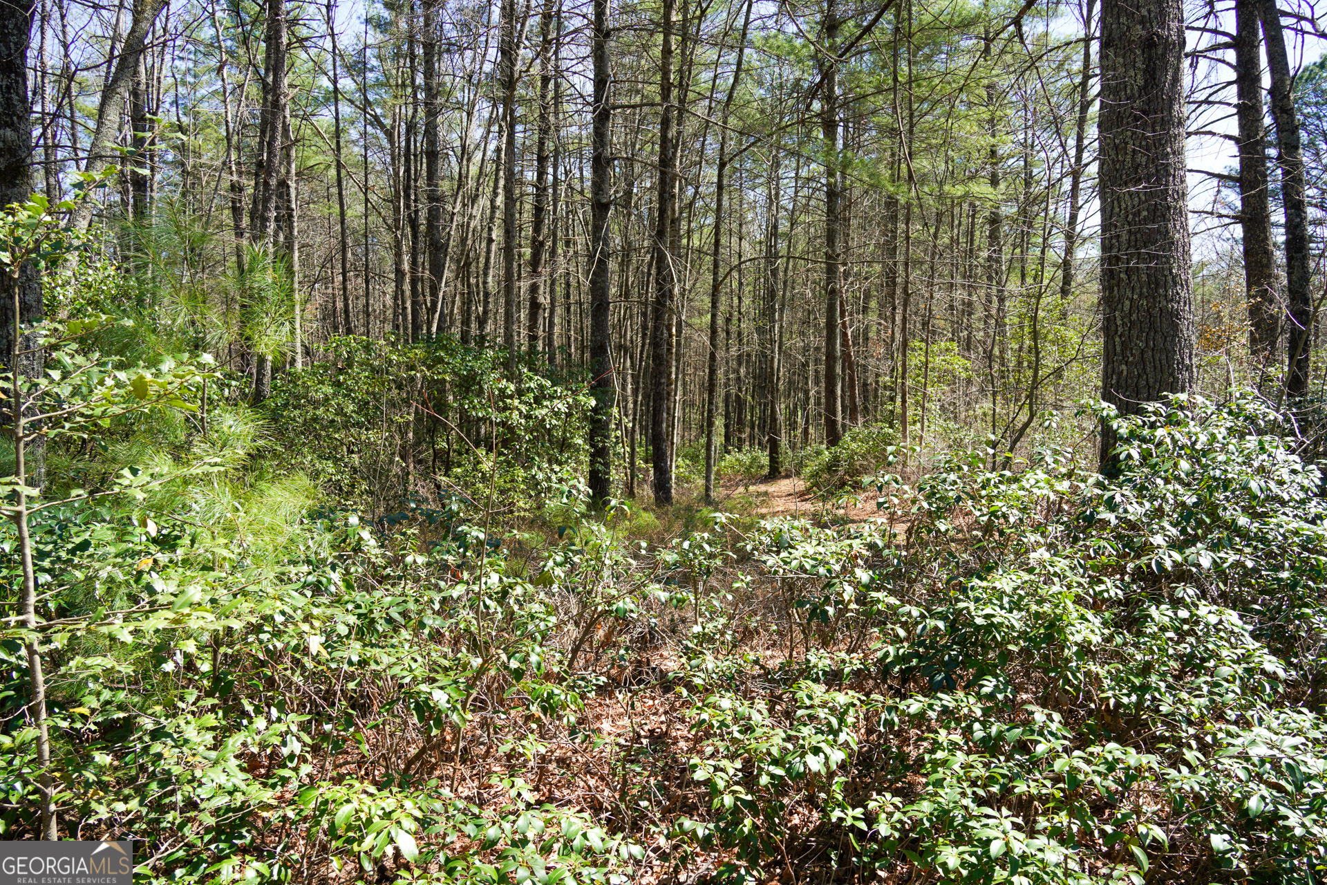 0 Hale Ridge Road Property Photo 19