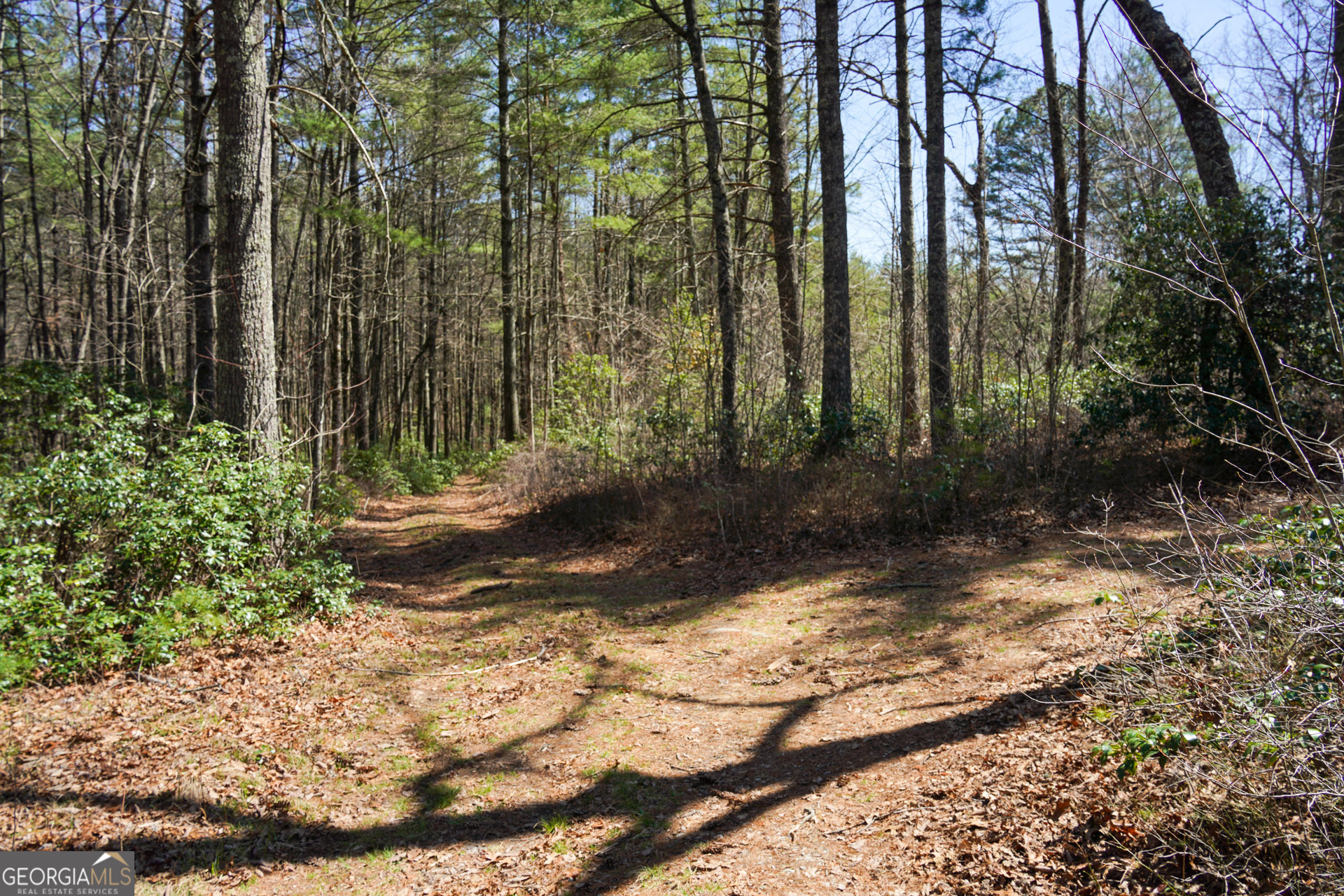 0 Hale Ridge Road Property Photo 20