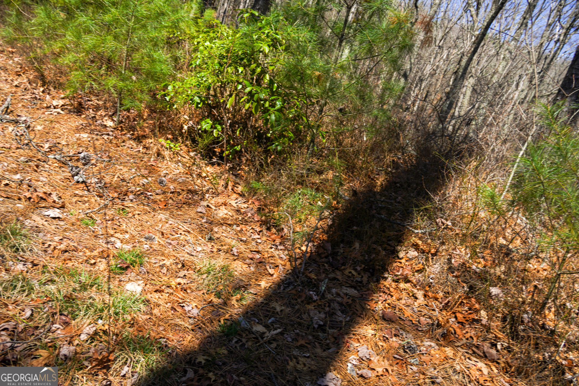 0 Hale Ridge Road Property Photo 21
