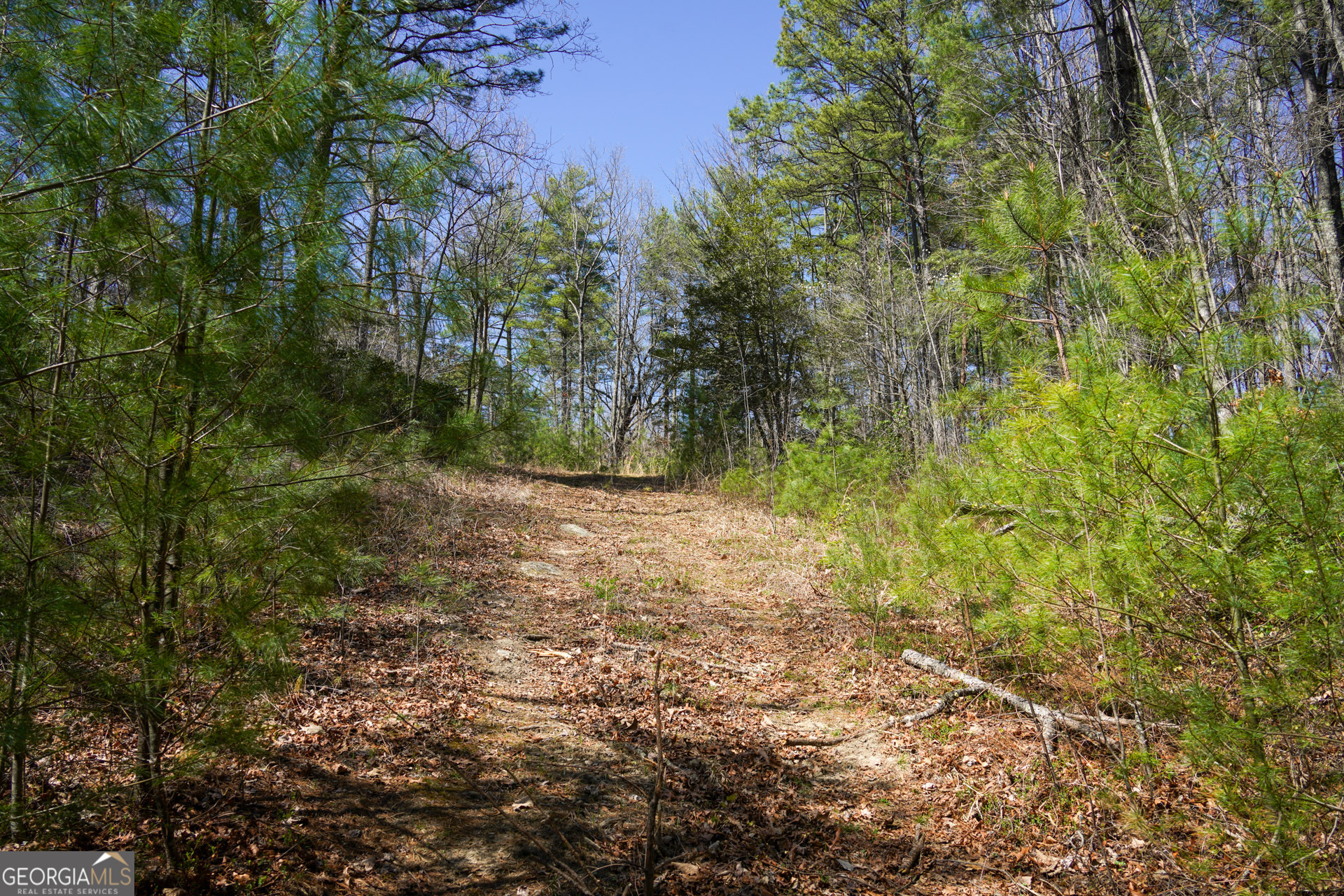 0 Hale Ridge Road Property Photo 23