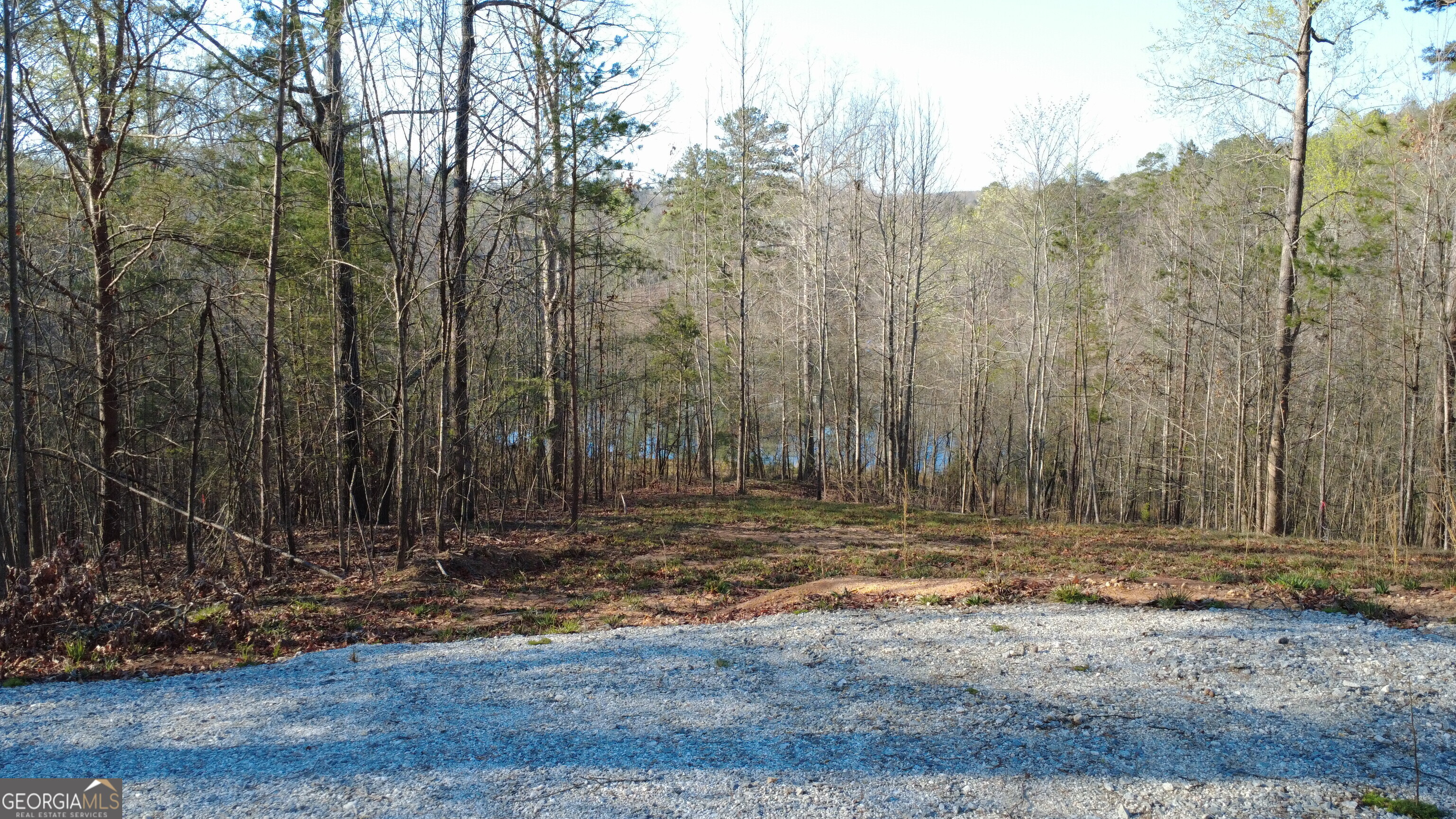 0 Purvis Road Property Photo 1