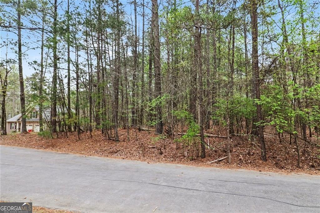 3115 Fairmond Court Property Photo 2