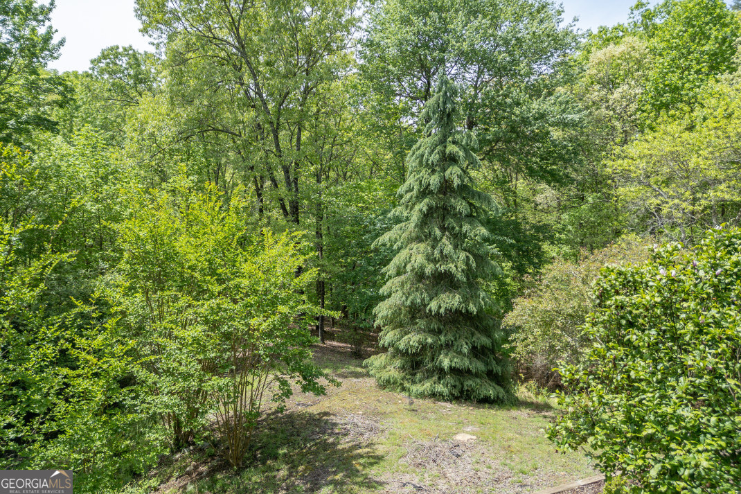 1204 Brookhaven Lane Property Photo 33