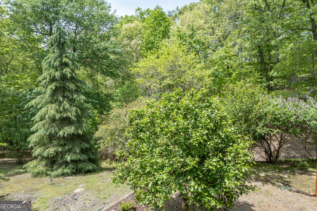 1204 Brookhaven Lane Property Photo 35