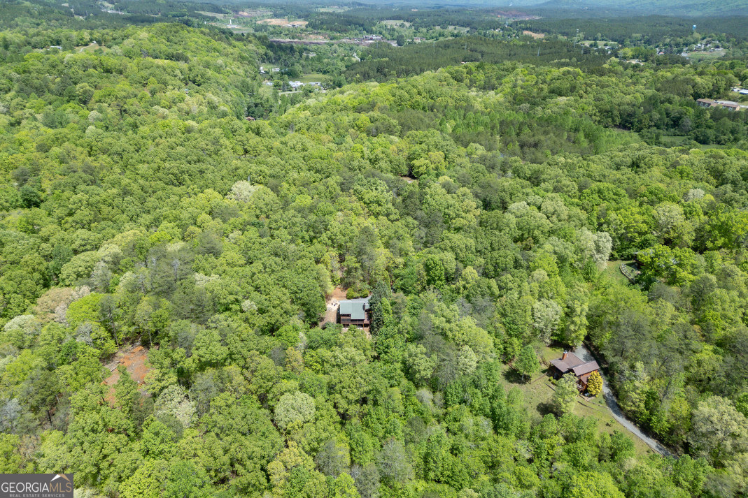 1204 Brookhaven Lane Property Photo 36