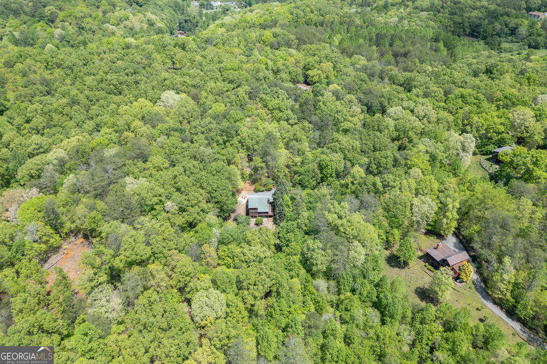 1204 Brookhaven Lane Property Photo 37
