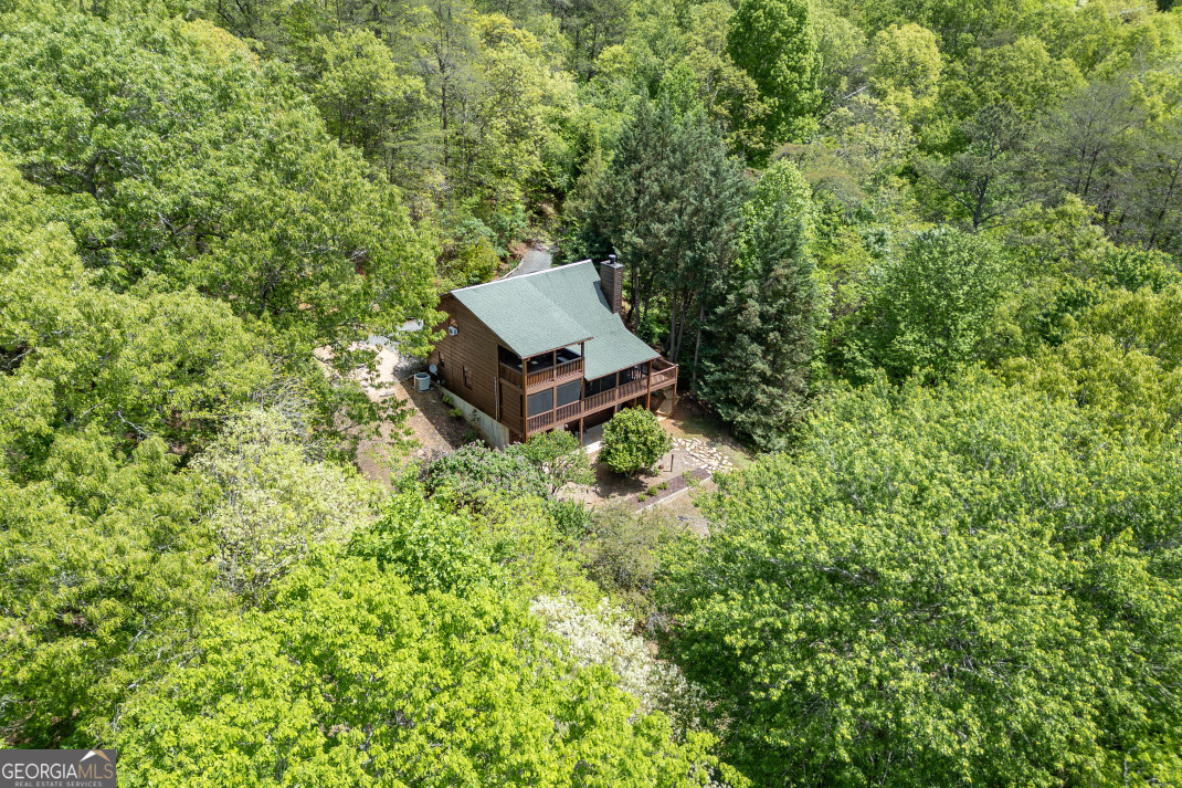 1204 Brookhaven Lane Property Photo 41