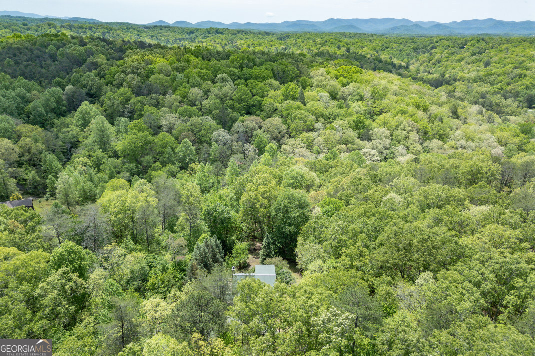 1204 Brookhaven Lane Property Photo 42