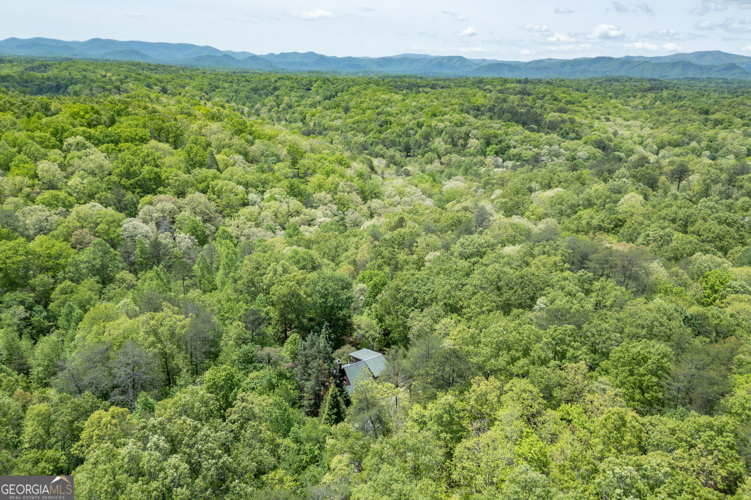 1204 Brookhaven Lane Property Photo 44