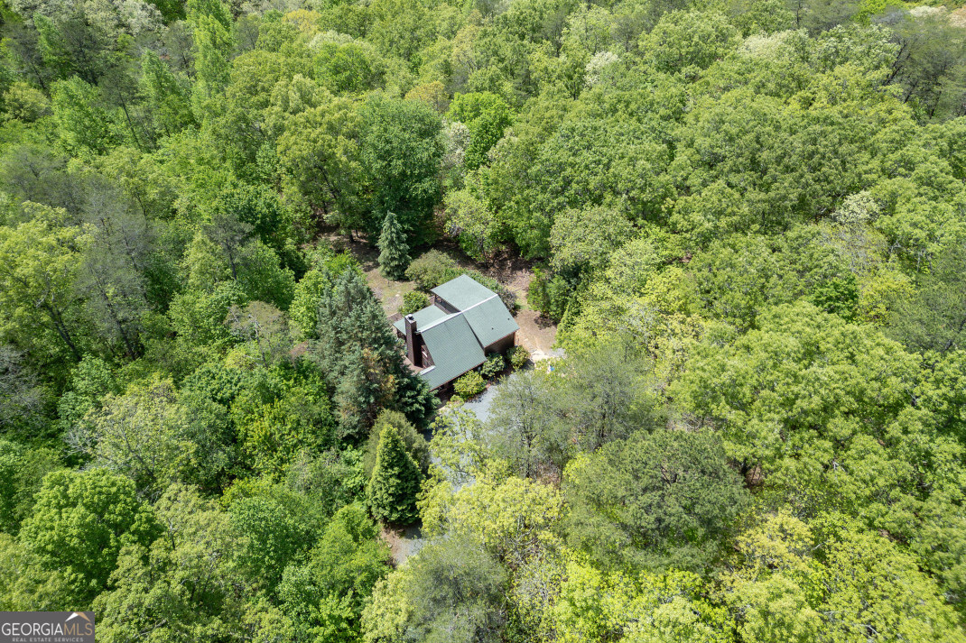 1204 Brookhaven Lane Property Photo 45