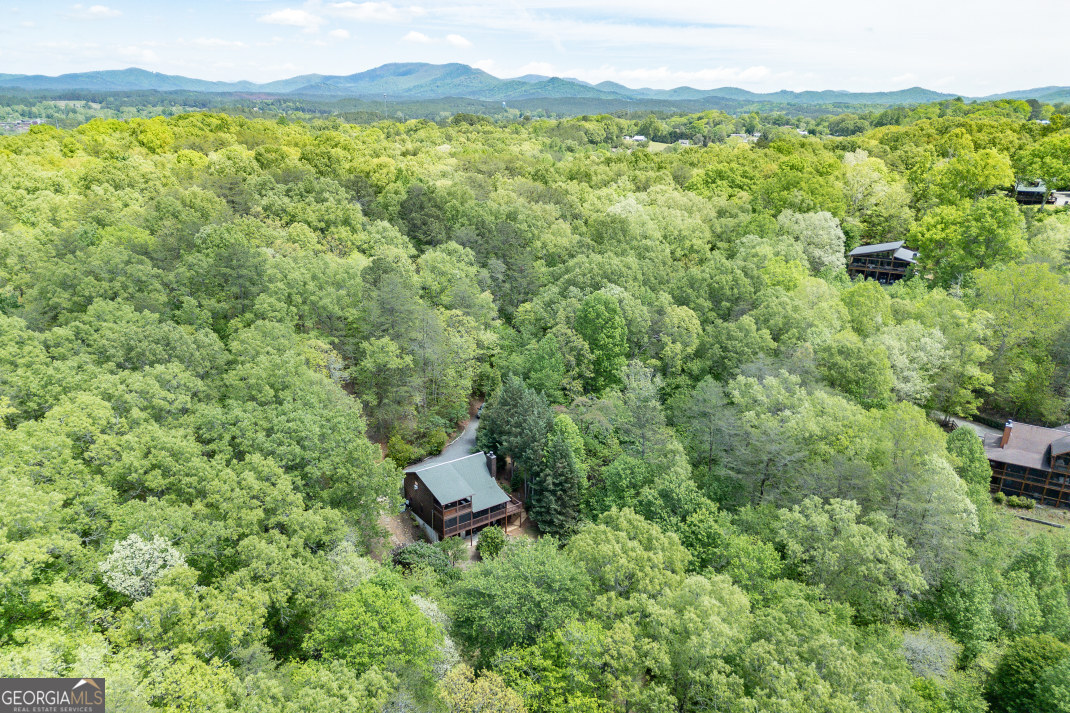 1204 Brookhaven Lane Property Photo 46