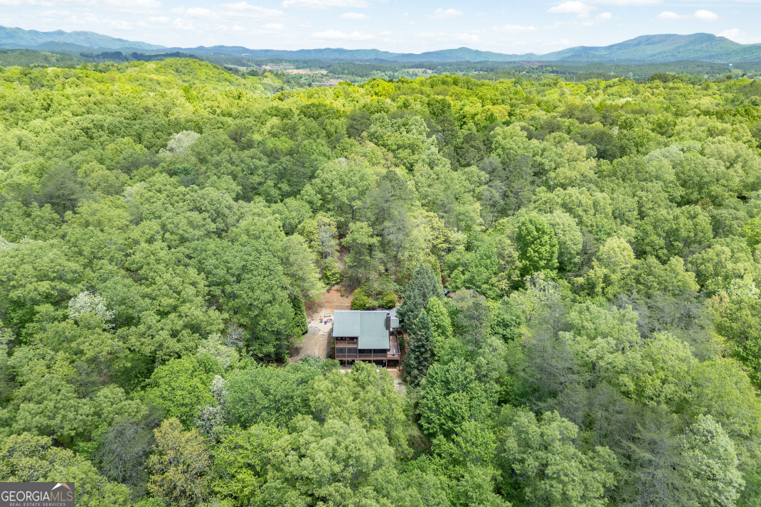 1204 Brookhaven Lane Property Photo 47