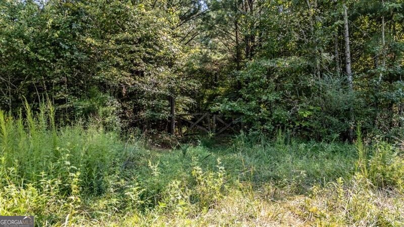 0 Townsend Road Property Photo 3