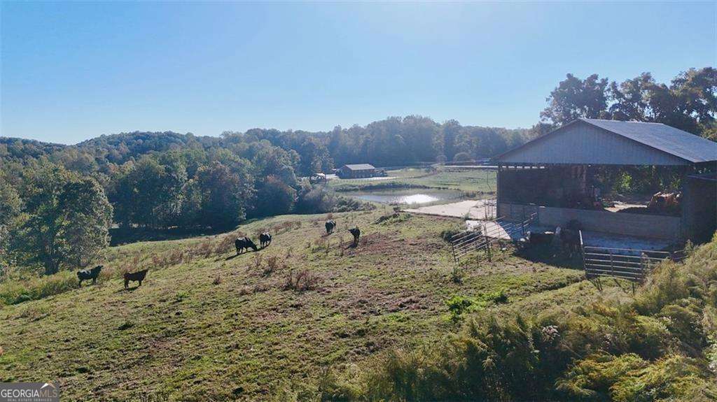 0 Porter Springs Road Property Photo 8