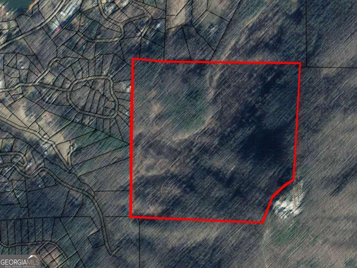 145 Ac. Bell Mountain Property Photo 7
