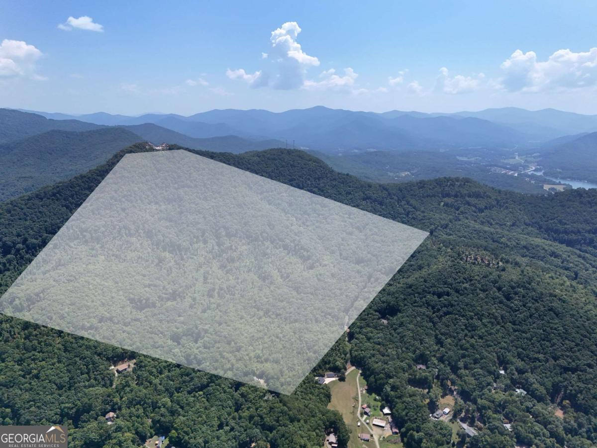 145 Ac. Bell Mountain Property Photo 8