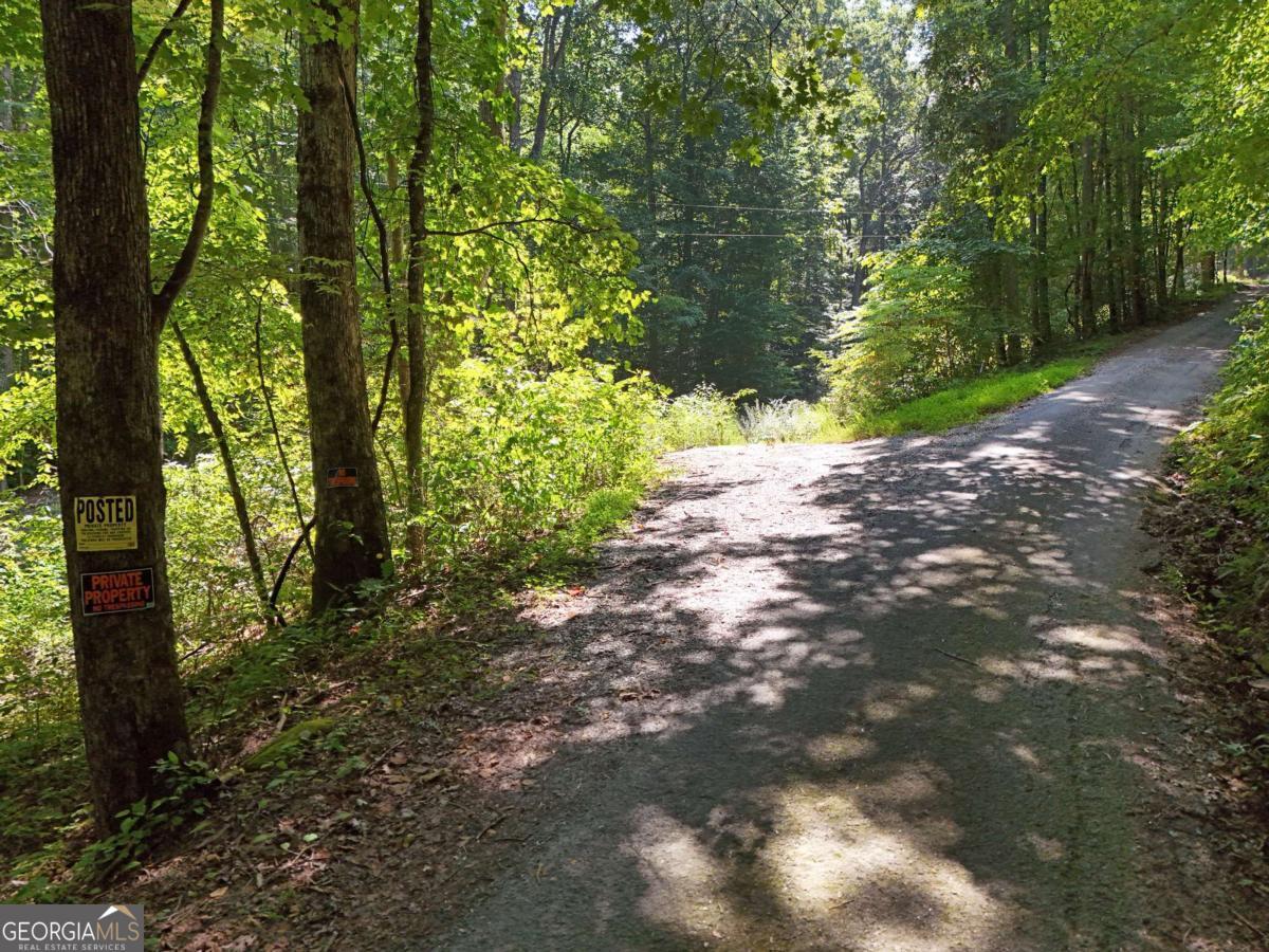145 Ac. Bell Mountain Property Photo 9
