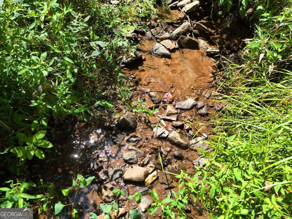 145 Ac. Bell Mountain Property Photo 10