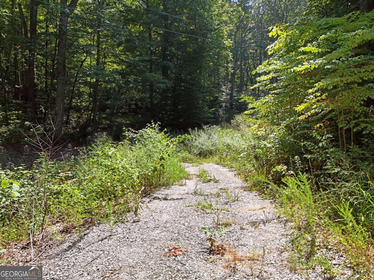 145 Ac. Bell Mountain Property Photo 11