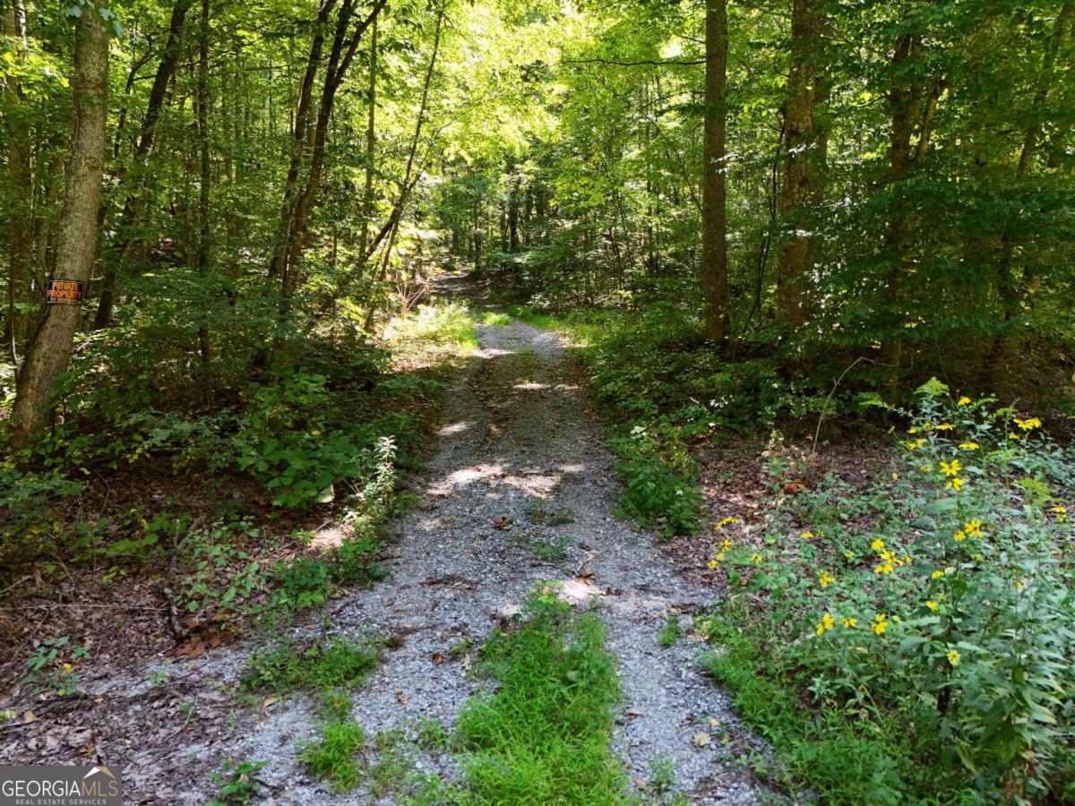 145 Ac. Bell Mountain Property Photo 12