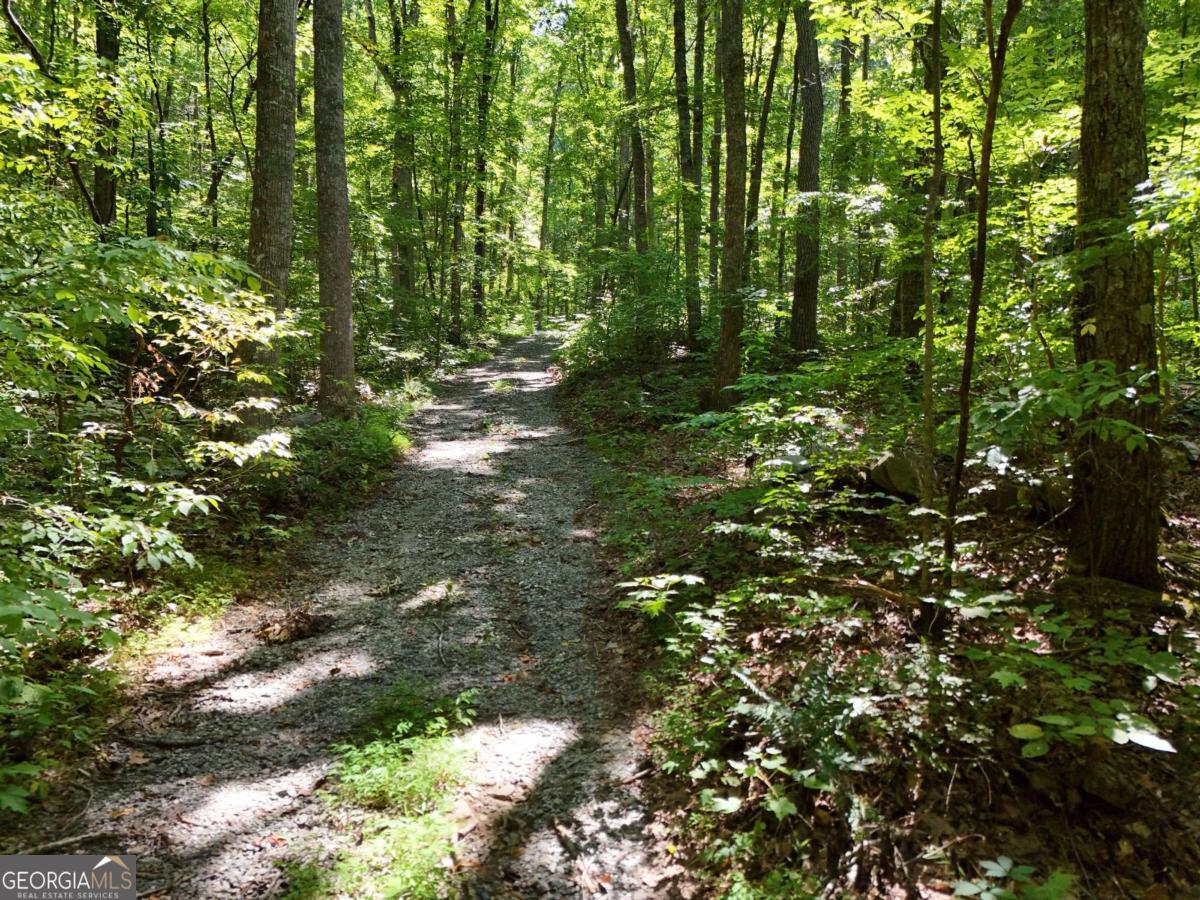 145 Ac. Bell Mountain Property Photo 14