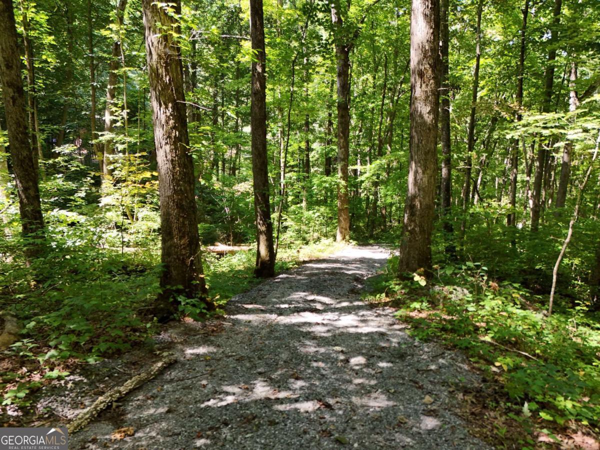 145 Ac. Bell Mountain Property Photo 15