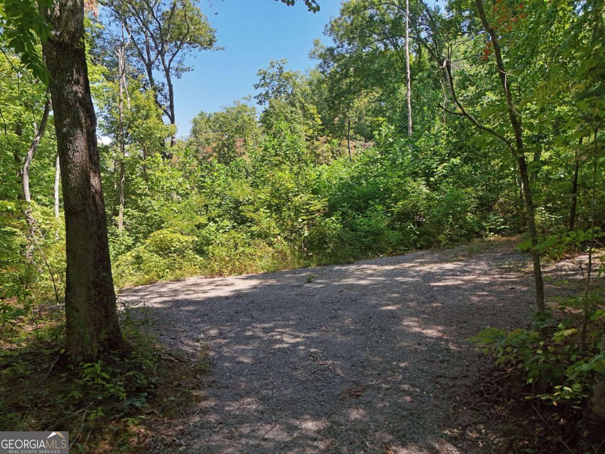 145 Ac. Bell Mountain Property Photo 16