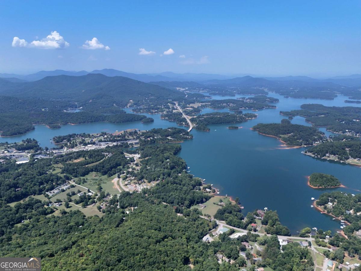 145 Ac. Bell Mountain Property Photo 21