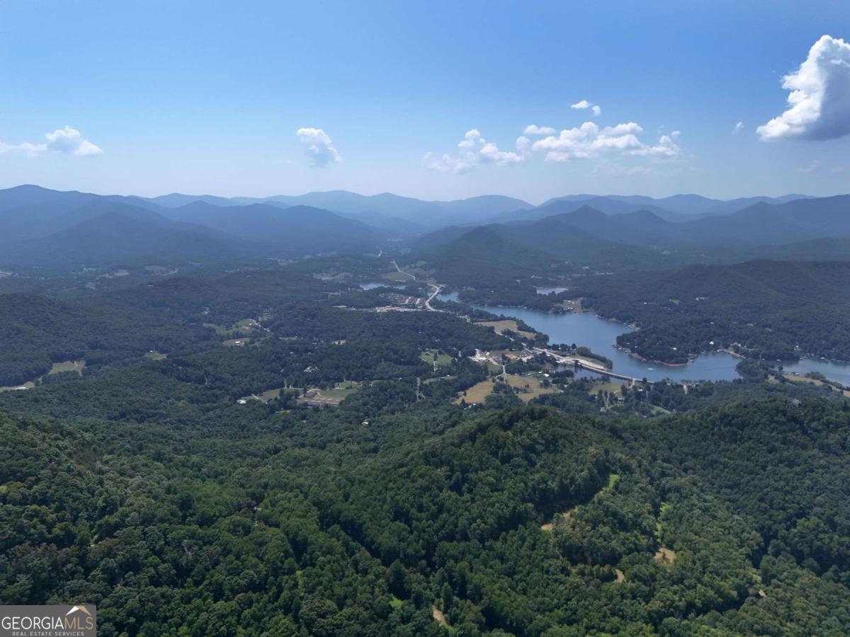 145 Ac. Bell Mountain Property Photo 23