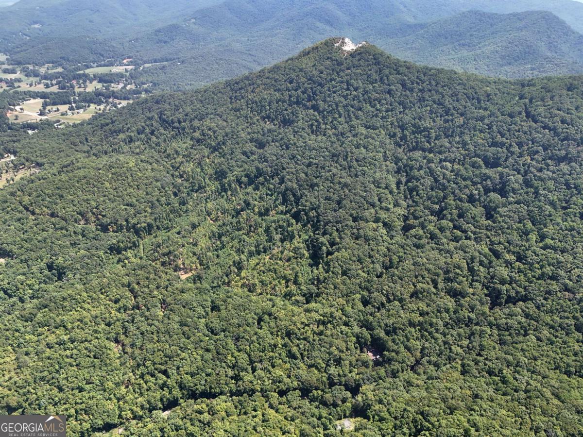 145 Ac. Bell Mountain Property Photo 25