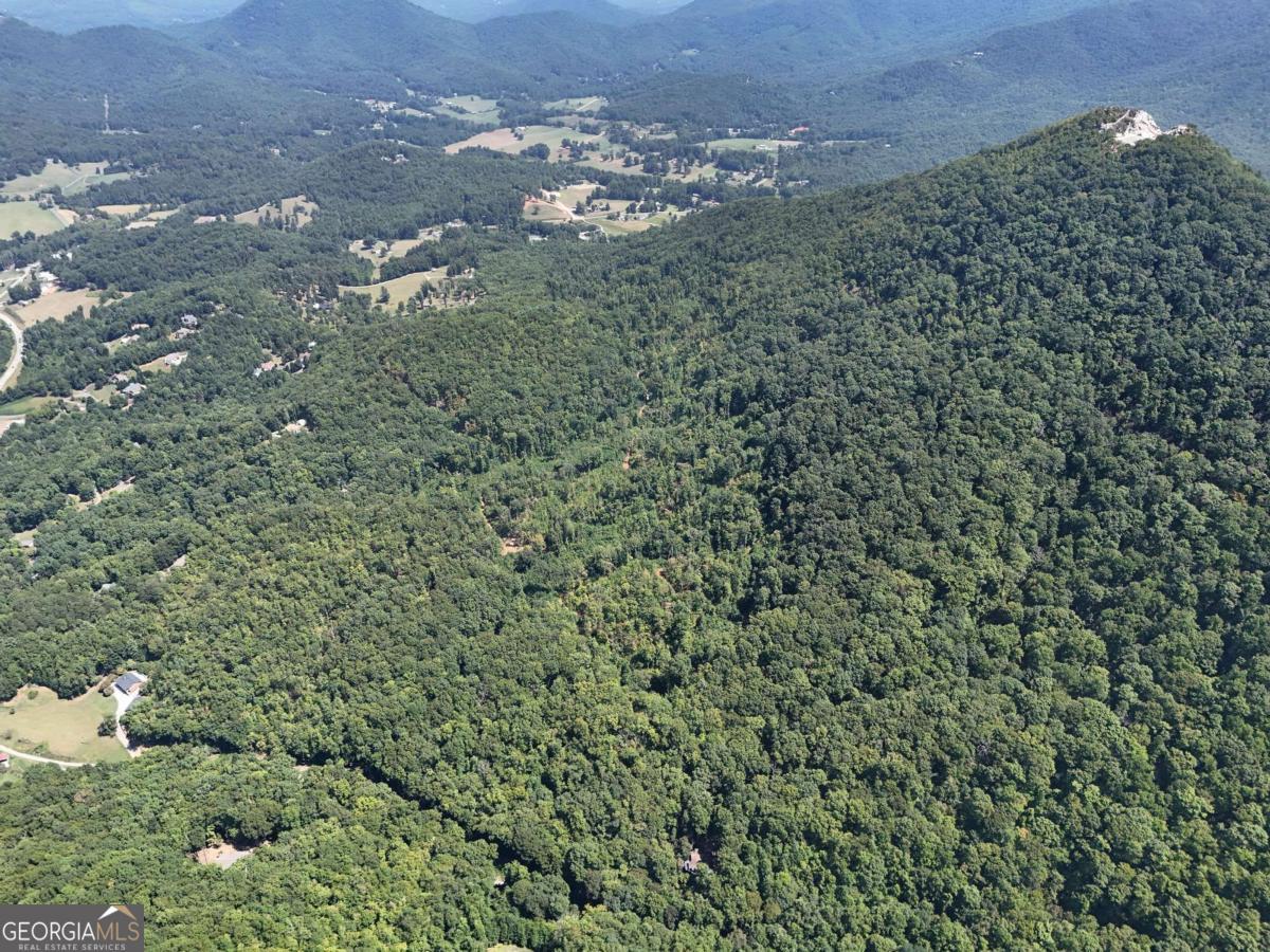 145 Ac. Bell Mountain Property Photo 26