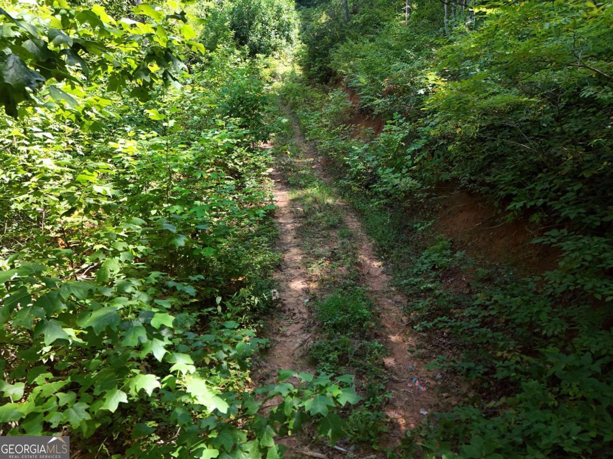 145 Ac. Bell Mountain Property Photo 32