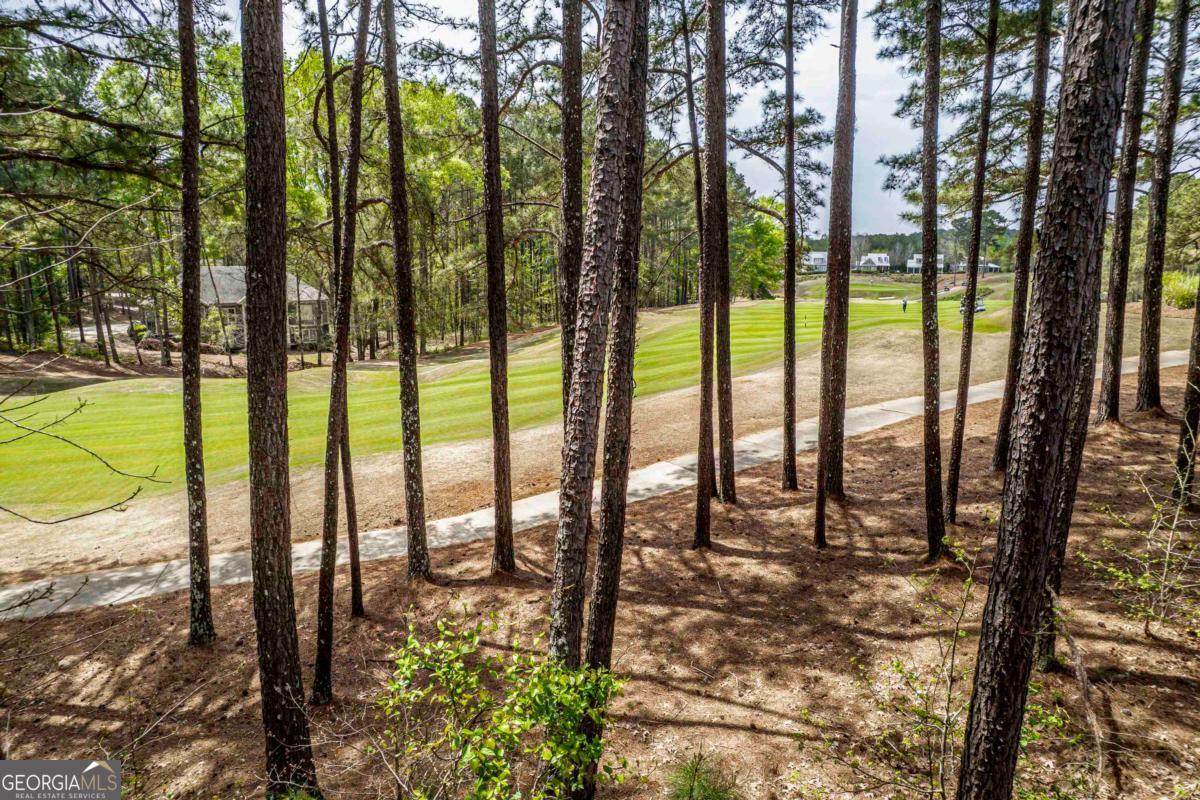1051 Portside Court Property Photo 4