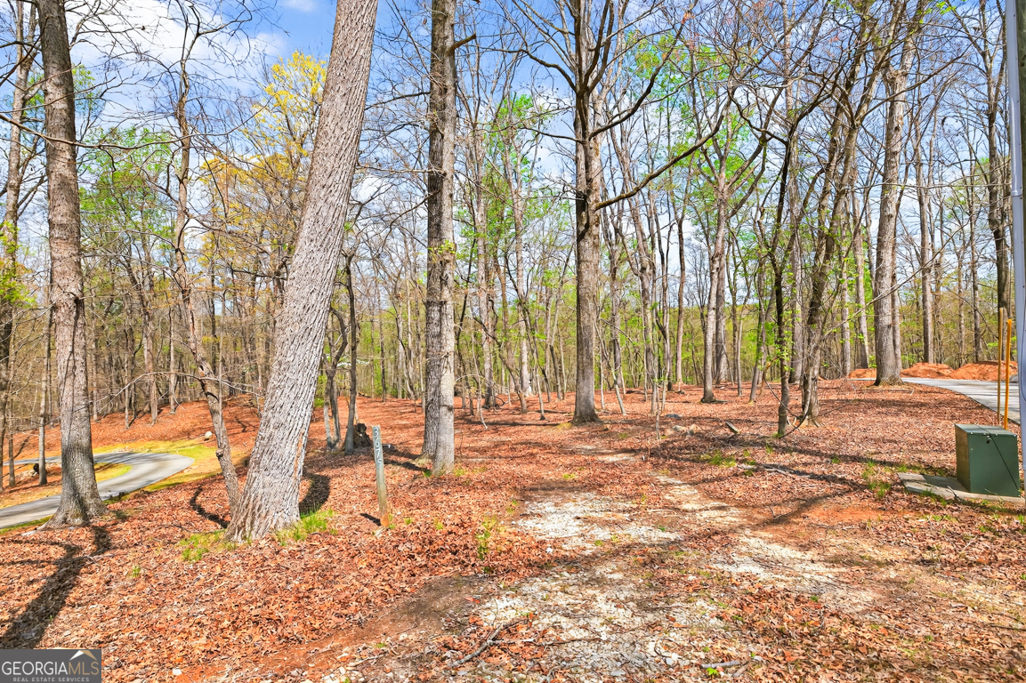 3675 Hidden Pond Drive Property Photo 12