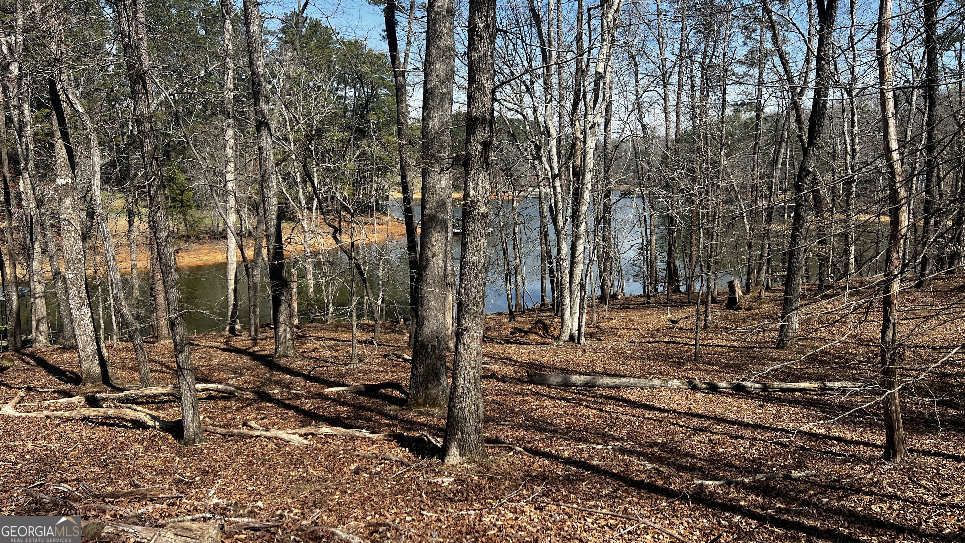 3675 Hidden Pond Drive Property Photo 33
