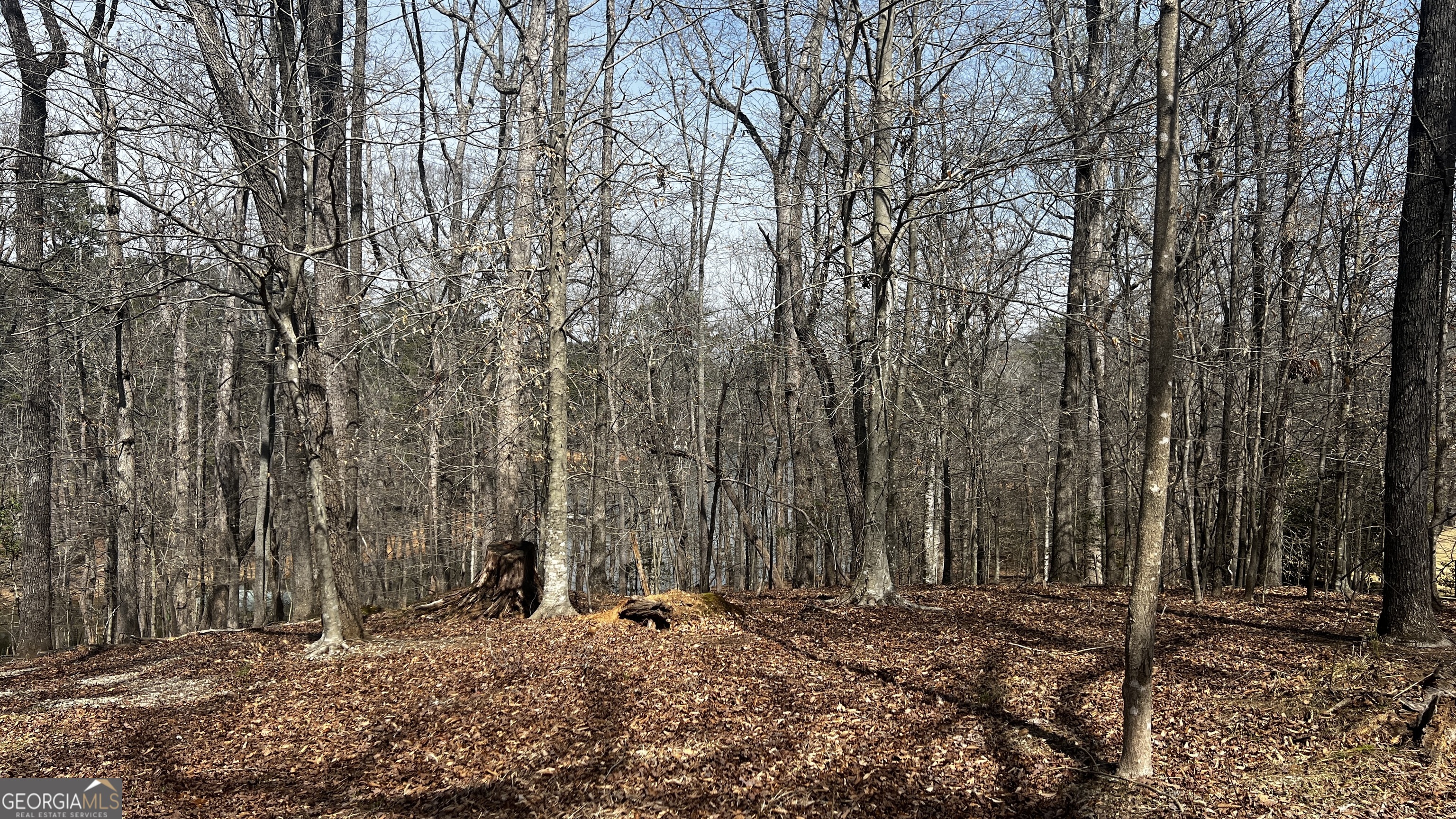 3675 Hidden Pond Drive Property Photo 41