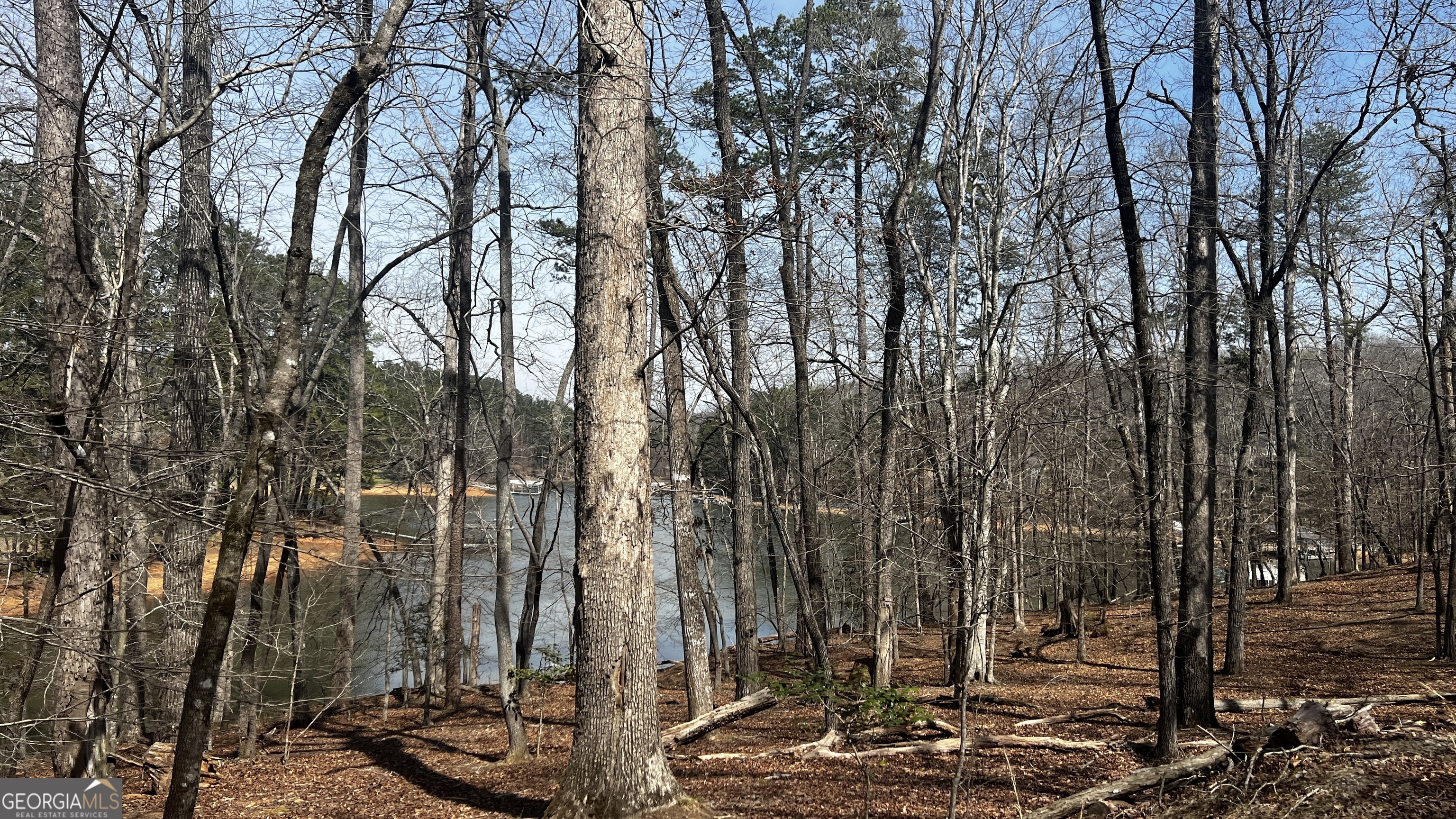 3675 Hidden Pond Drive Property Photo 43