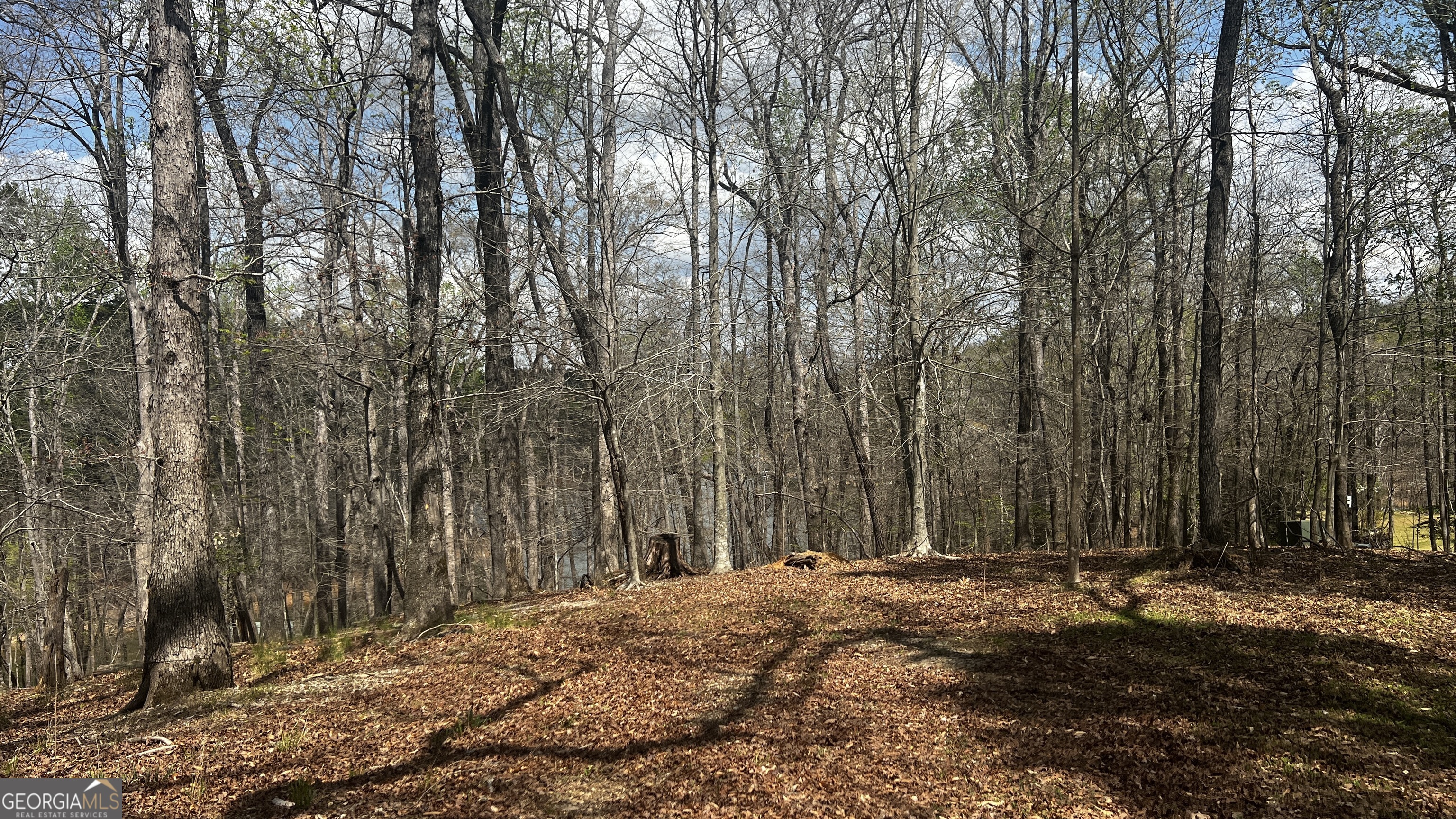 3675 Hidden Pond Drive Property Photo 45