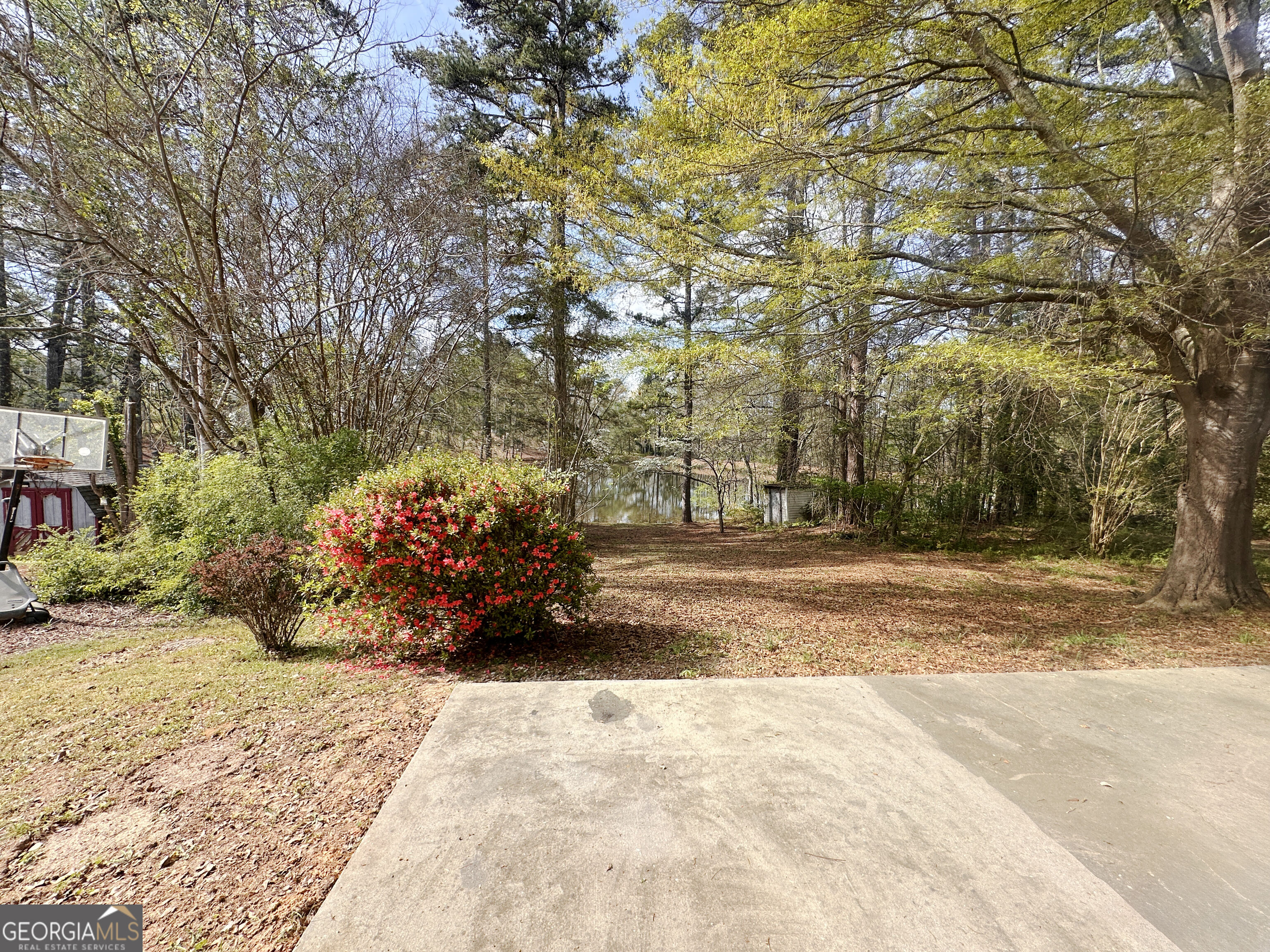 8036 Harmony Lakes Drive Property Photo 6