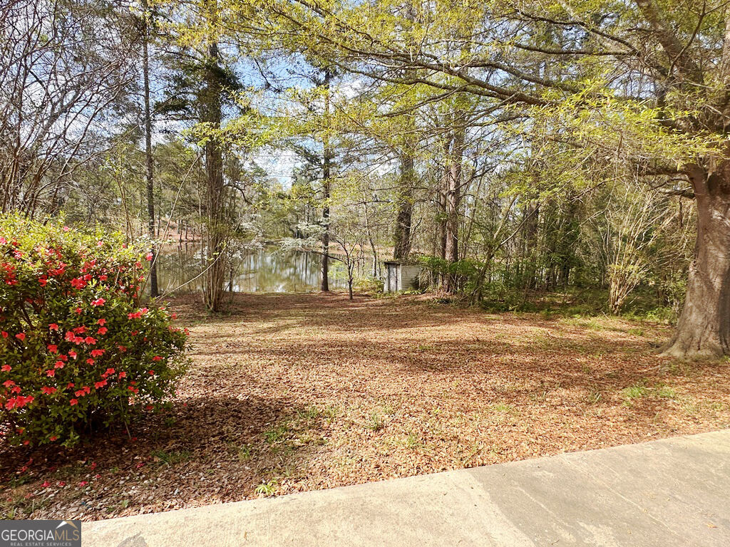 8036 Harmony Lakes Drive Property Photo 8