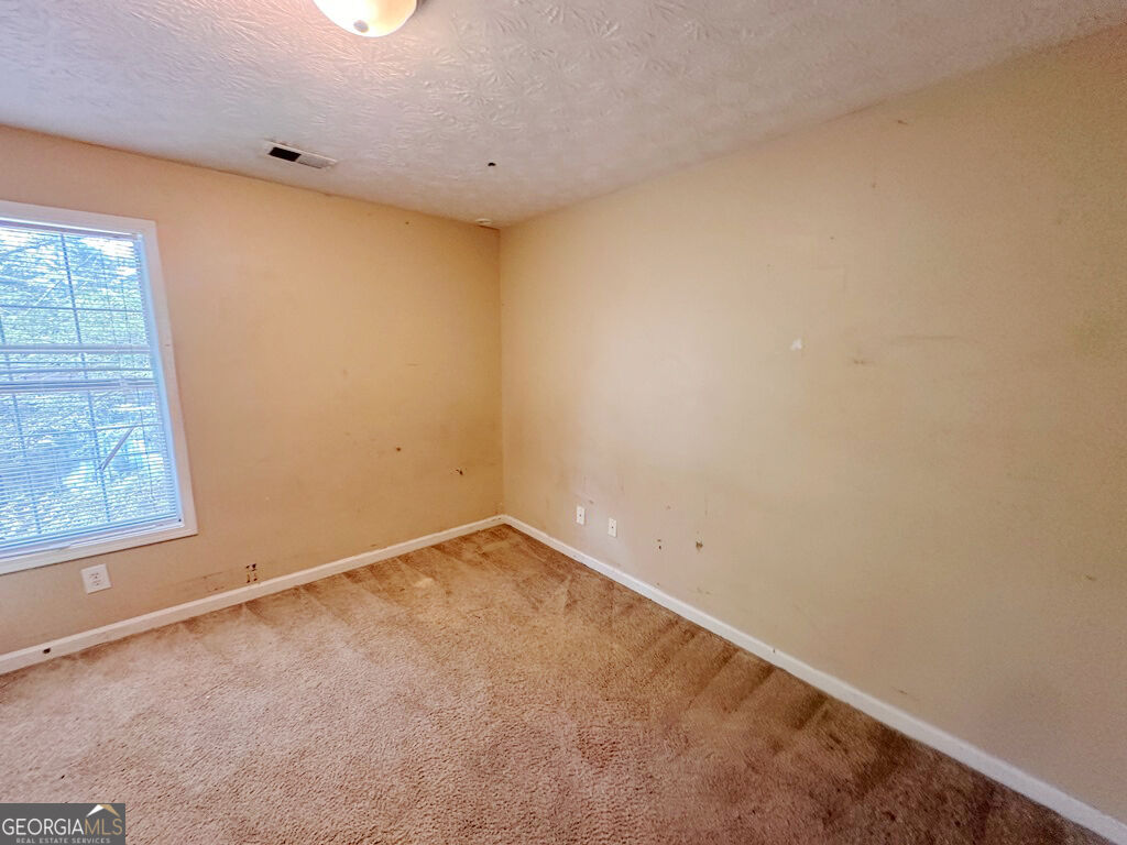 8036 Harmony Lakes Drive Property Photo 11