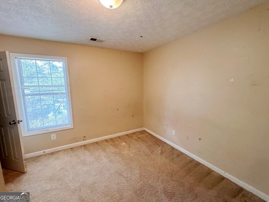 8036 Harmony Lakes Drive Property Photo 12