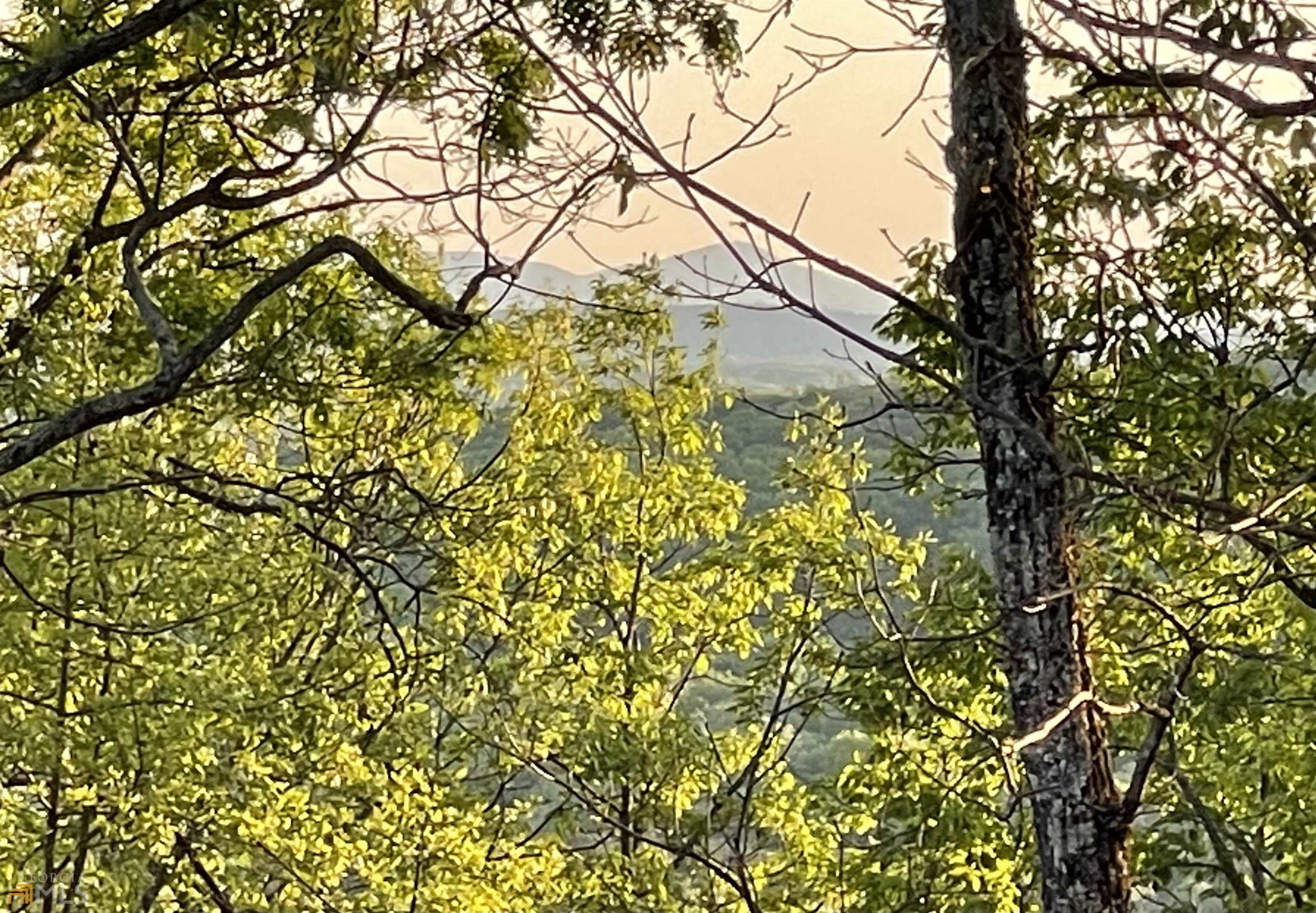 0 Little Eagle Mountain Lot 5 Property Photo 1